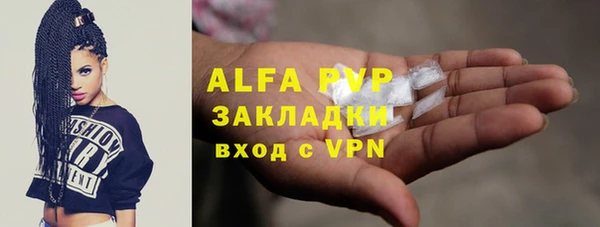 прущие крисы Белокуриха