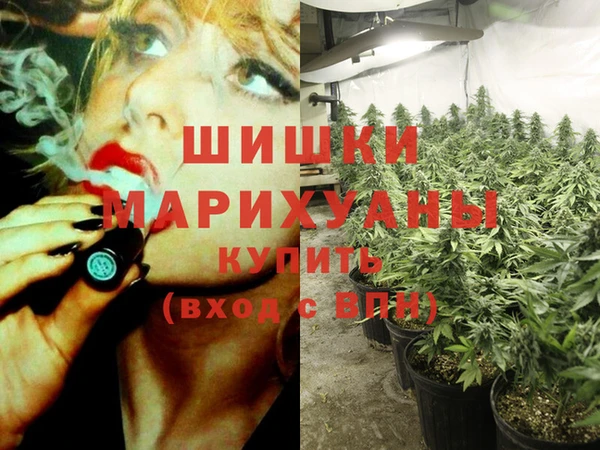 индика Белоозёрский