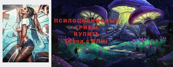 гидропоника Беломорск
