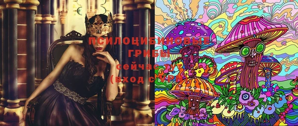 индика Белоозёрский