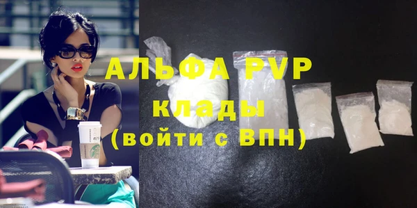 индика Белоозёрский